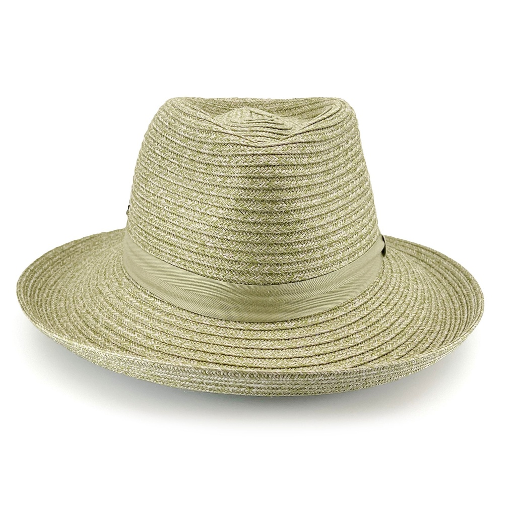 Banksia Fedora