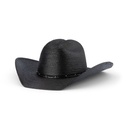 The Gunslinger - Sahuayo Palm Leaf Mexican Western