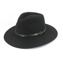 Hudson Fedora